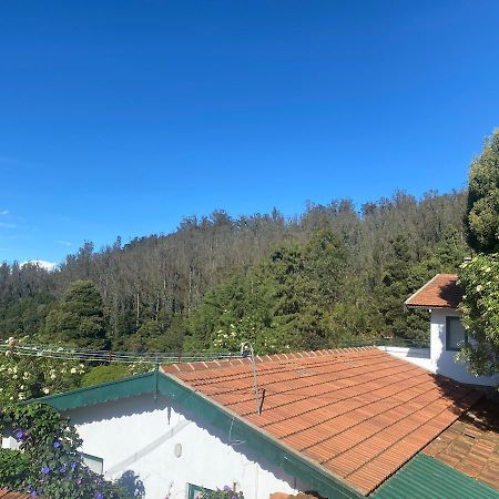 Bed and Breakfast The Tamarillo Утакаманд Экстерьер фото
