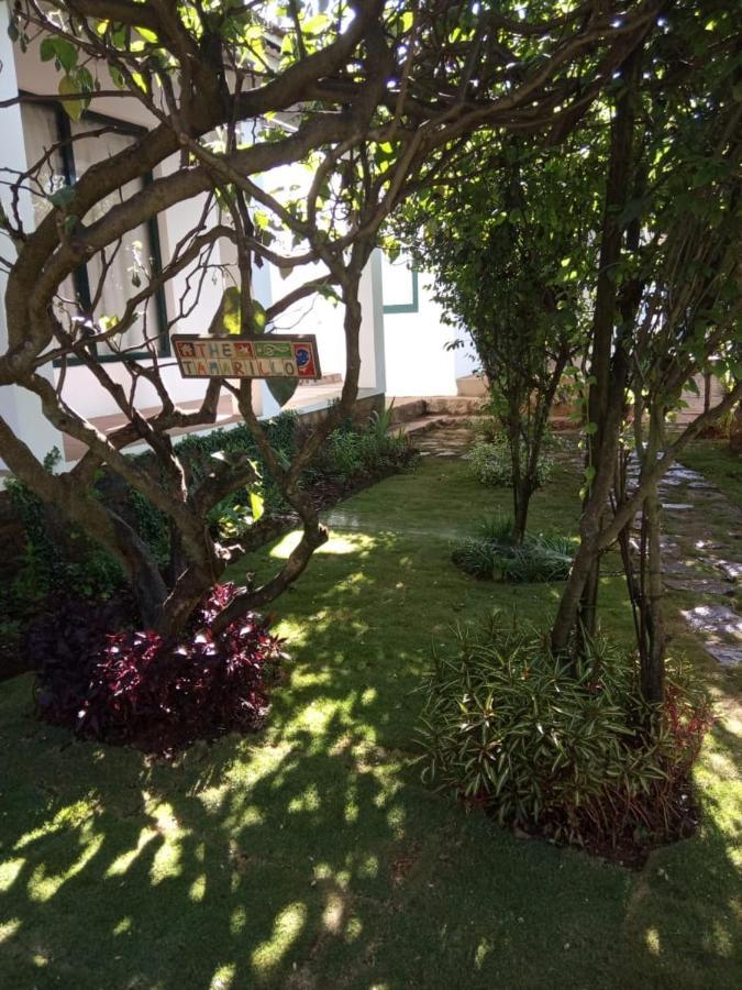 Bed and Breakfast The Tamarillo Утакаманд Экстерьер фото