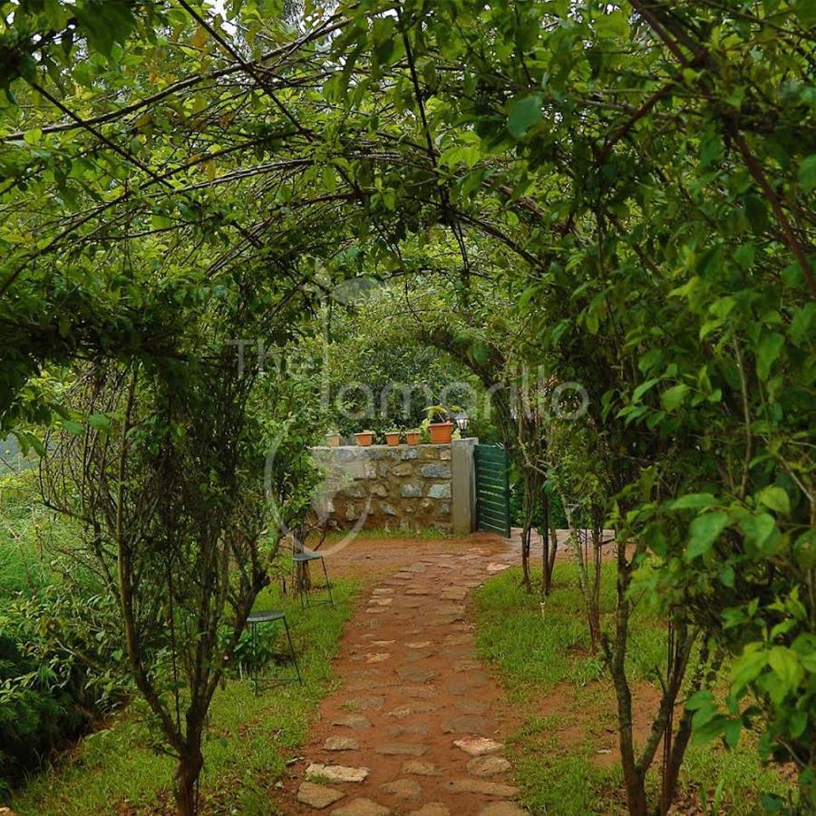 Bed and Breakfast The Tamarillo Утакаманд Экстерьер фото